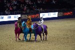 Quadrille - 00608